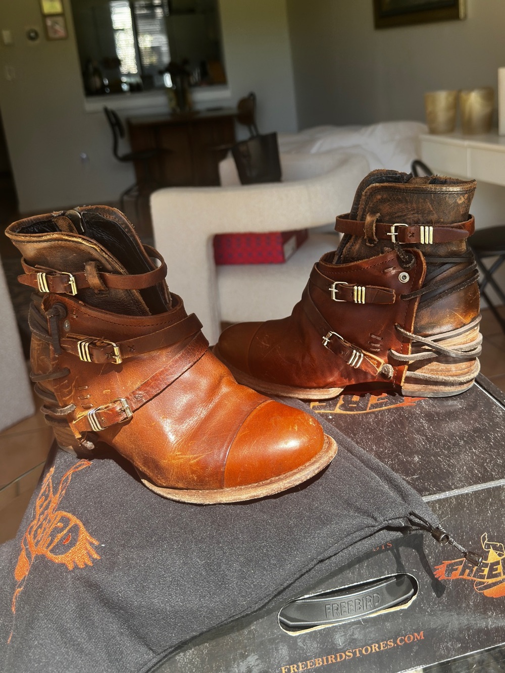 Freebird by Steven Crue Booties